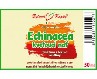 ECHINACEA KVETOUCÍ nať kapky (tinktura) 50ml | Bylinné kapky