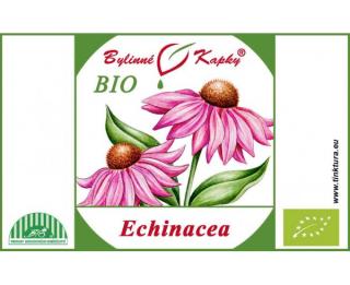 ECHINACEA PURPUREA BIO kapky (tinktura) 50ml | Bylinné kapky