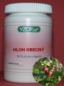 HLOH OBECNÝ - 50 kapslí | YZOP