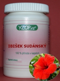 IBIŠEK SÚDANSKÝ - 50 kapslí | YZOP