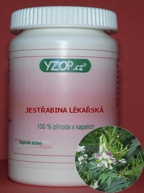 JESTŘABINA LÉKAŘSKÁ - 50 kapslí | YZOP