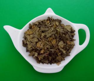 JINAN DVOJLALOČNÝ (GINKGO BILOBA) - list - sypaný bylinný čaj 100g | Centrum byl (Ginkgo bilobae folium)
