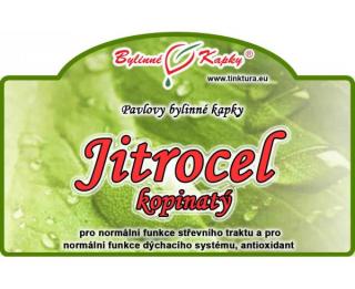 JITROCEL KOPINATÝ kapky (tinktura) 50ml | Bylinné kapky
