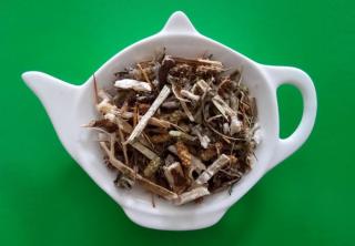 JUAN DE ALONSO 100g | Centrum bylin (Xantium spinosum)