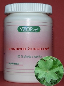 KONTRYHEL OBECNÝ - 50 kapslí | YZOP