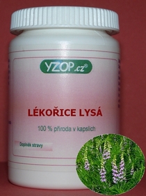 LÉKOŘICE LYSÁ - 50 kapslí | YZOP