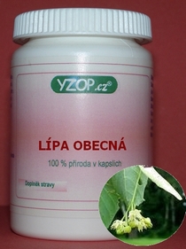 LÍPA OBECNÁ - 50 kapslí | YZOP