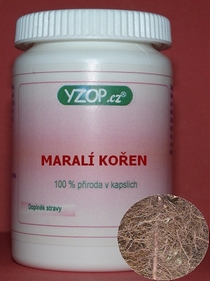 MARALÍ KOŘEN 50 kapslí | YZOP