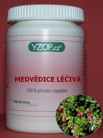MEDVĚDICE LÉKAŘSKÁ - 50 kapslí | YZOP