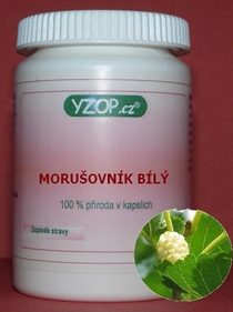MORUŠOVNÍK BÍLÝ - 50 kapslí | YZOP
