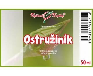 OSTRUŽINÍK kapky (tinktura) 50ml | Bylinné kapky