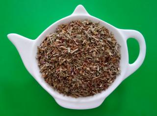 OŽANKA kalamandra sypaný bylinný čaj 100g | Centrum bylin (Teucrium chamaedrys)