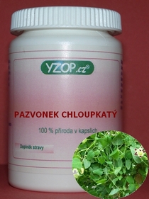 PAZVONEK CHLOUPKATÝ - 50 kapslí | YZOP