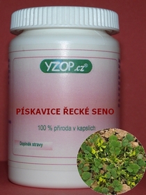 PÍSKAVICE ŘECKÉ SENO 50 kapslí
