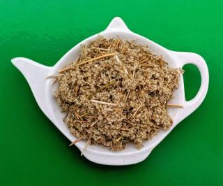 POLPALA nať sypaný bylinný čaj | Centrum bylin (Aerva lanata)