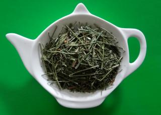 PRÁVENKA LATNATÁ - ANDROGRAPHIS - nať sypaný bylinný čaj 100g | Centrum bylin (Andrographis paniculata)