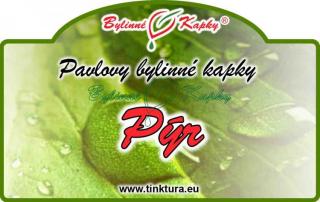 PÝR PLAZIVÝ kapky (tinktura) 50ml | Bylinné kapky