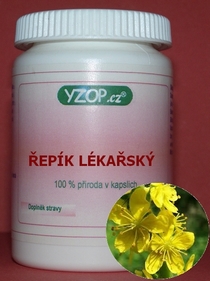 ŘEPÍK LÉKAŘSKÝ - 50 kapslí | YZOP