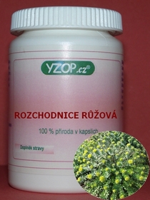 ROZCHODNICE RŮŽOVÁ - 50 kapslí | YZOP