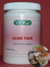 SHIITAKE - 50 kapslí | YZOP