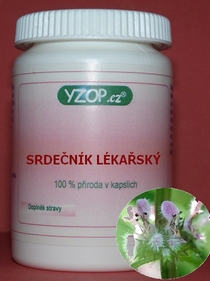 SRDEČNÍK OBECNÝ - 50 kapslí | YZOP