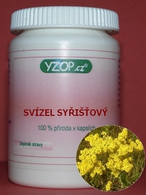 SVÍZEL SYŘIŠŤOVÝ - 50 kapslí | YZOP