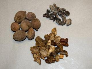 TRIPHALA - silně detoxikační přípravek 100g | Centrum bylin