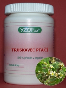 TRUSKAVEC PTAČÍ - 50 kapslí | YZOP