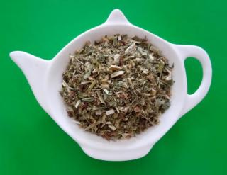 TURAN KANADSKÝ nať sypaný bylinný čaj 1000g | Centrum bylin  (Conyza canadensis)