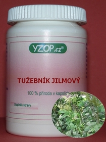TUŽEBNÍK JILMOVÝ - 50 kapslí | YZOP