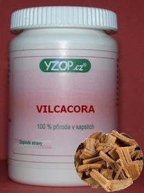 VILCACORA - KOČIČÍ DRÁP - 50 kapslí | YZOP