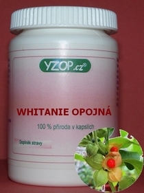 WHITÁNIE OPOJNÁ - 50 kapslí | YZOP