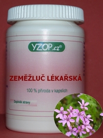 ZEMĚŽLUČ LÉKAŘSKÁ - 50 kapslí | YZOP