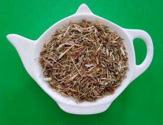 ZEMĚŽLUČ LÉKAŘSKÁ - NAŤ - sypanný bylinný čaj 50g | Centrum bylin  (Centaurium erythraea)