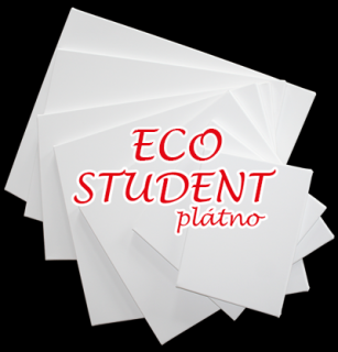 Malířske plátno na rámu ECO STUDENT 20 x 50 cm (Bavlna 300g/m2, 100% eco bavlna)