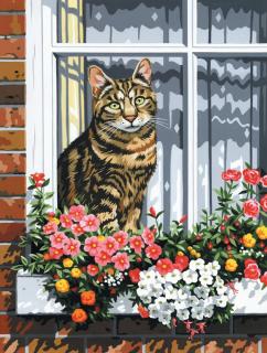 Malování podle čísel na plátno - Kočka v okně (Sada na malování podle čísel na plátno Royal Langnickel - A4)