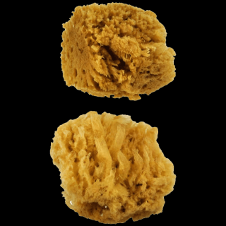Přírodní mořské - karibské houby - sada 2 ks (Přírodní mořská houba na povrchové úpravy)