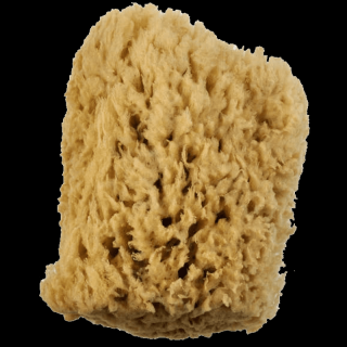 Royal Langnickel Velká vlnová houba 1ks (Royal Langnickel wool sponge)