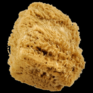 Velká přírodní vlněná houba (Přírodní mořská houba na povrchové úpravy)
