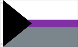Vlajka demisexual 90x150 cm