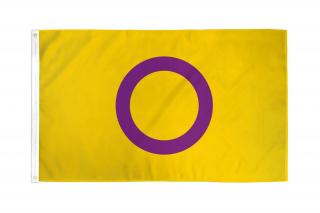 Vlajka Intersex Pride 90x150 cm