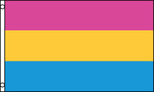 Vlajka pansexual hrdosti 90x150 cm
