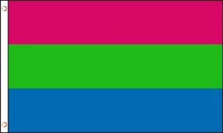Vlajka polysexual 90x150 cm