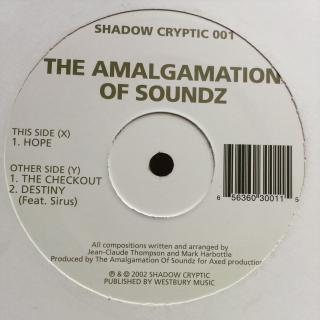 12  Amalgamation Of Soundz ‎– Hope ((2002))