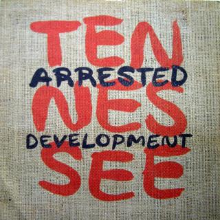 12  Arrested Development ‎– Tennessee ((1993))