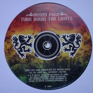 12  Benny Page / Visionary Feat. Peter Ranking ‎– Turn Down The Lights / Soundbo ((2006))