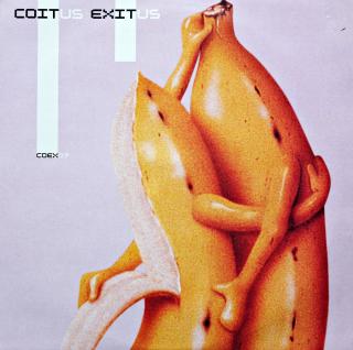 12   Coitus Exitus ‎– Too Fat To See Throw You / Let's Have Another Drink (CZ, 2001, House)