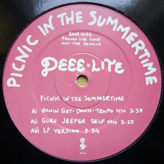 12  Deee-Lite ‎– Picnic In The Summertime ((1994))