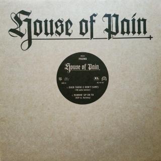 12  House Of Pain ‎– Over There (I Don't Care) ((1995))