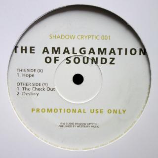 12  The Amalgamation Of Soundz ‎– Hope ((2002))